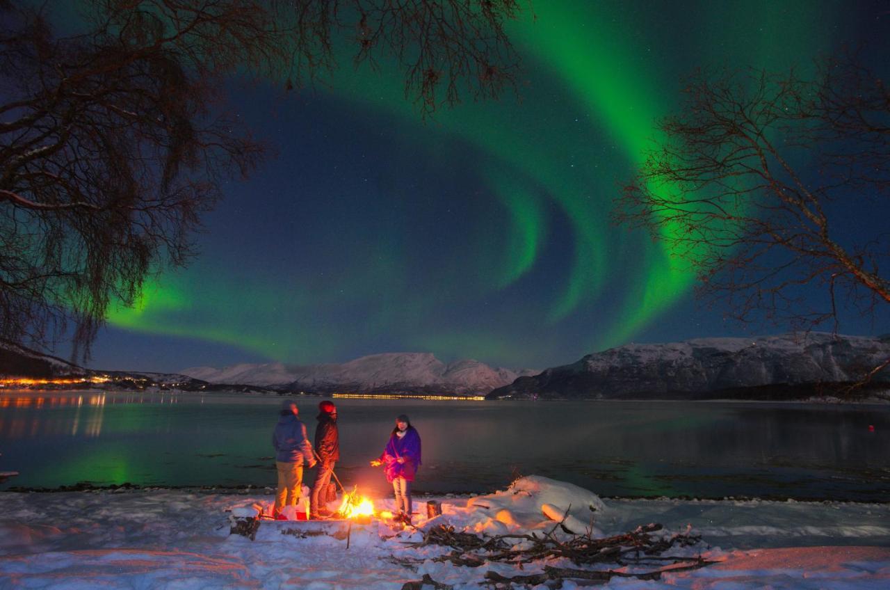 Отель Solhov, Castle Of The Lyngen Alps Lyngseidet Экстерьер фото